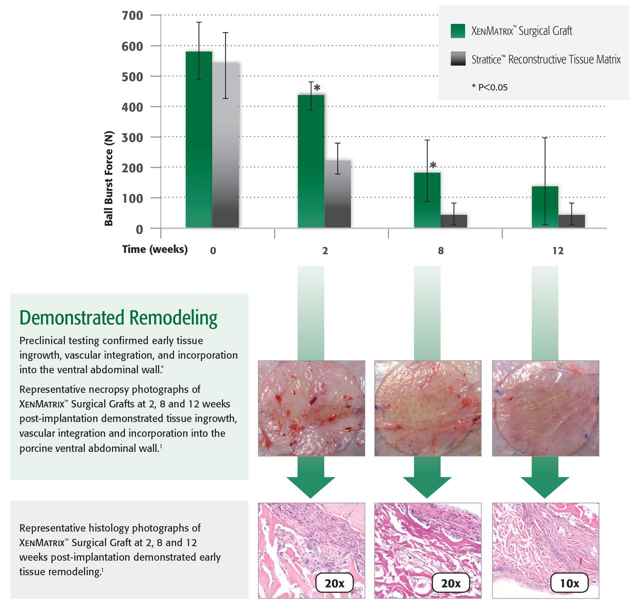 Preclinical studies demonstrated:Demonstrated mechanical strength2Maintains strength during the early healing process1