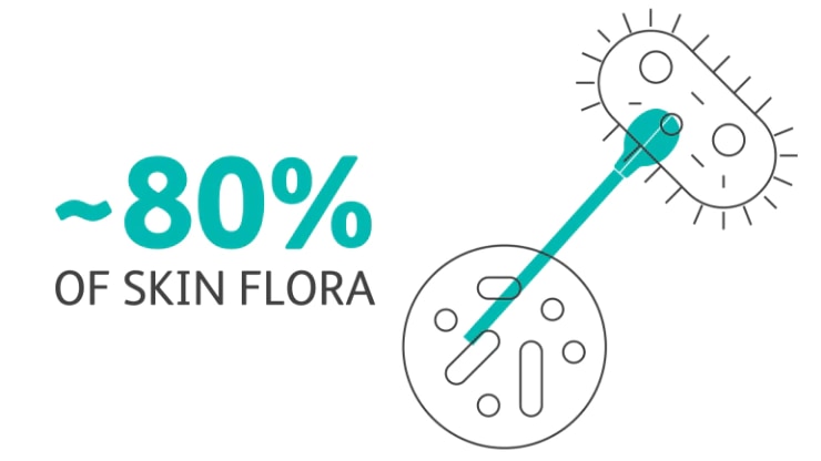 <p><b>~ 80% of skin flora reside in the first five layers of our outermost skin<sup>5</sup></b></p>
<p>Proper skin preparation kills bacteria on the skin that can potentially cause skin infection and contamination.</p>
<p><b>Discover our solution:</b></p>
<p><a href="/content/bd-com/language-master/en/products-and-solutions/products/product-families/chloraprep-swabstick.html" target="_self"><span class="forward-arrow-icon"><span class="boostedblue-font-color">BD ChloraPrep™ Swabstick</span></span></a></p>
